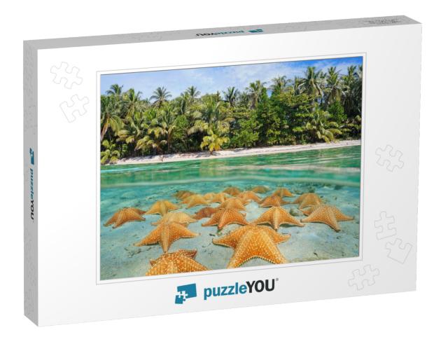 Split Image Over & Under Sea Surface Near the Shore of a... Jigsaw Puzzle