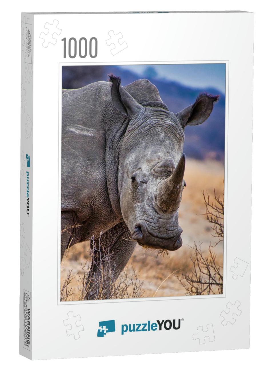 White Rhinoceros, Khama Rhino Sanctuary, Botswana... Jigsaw Puzzle with 1000 pieces