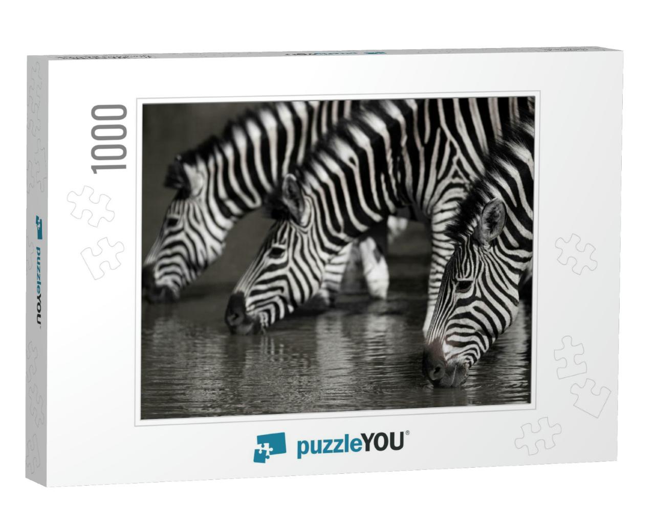 Southern African Plains Zebra Seen on a Safari in South A... Jigsaw Puzzle with 1000 pieces