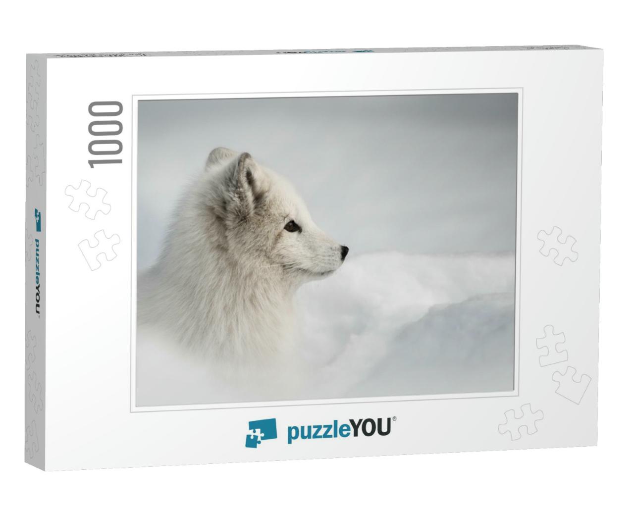 A Female Arctic Fox Ventures Out of Her Snow Den to Begin... Jigsaw Puzzle with 1000 pieces
