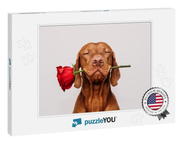 Charming Red-Haired Vizsla Dog with Eyes Closed Ho... Jigsaw Puzzle
