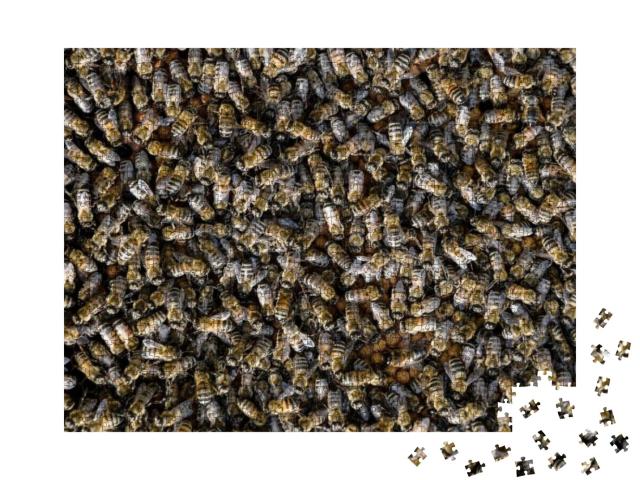 A Dense Cluster of Swarms of Bees in the Nest. Working Be... Jigsaw Puzzle with 1000 pieces