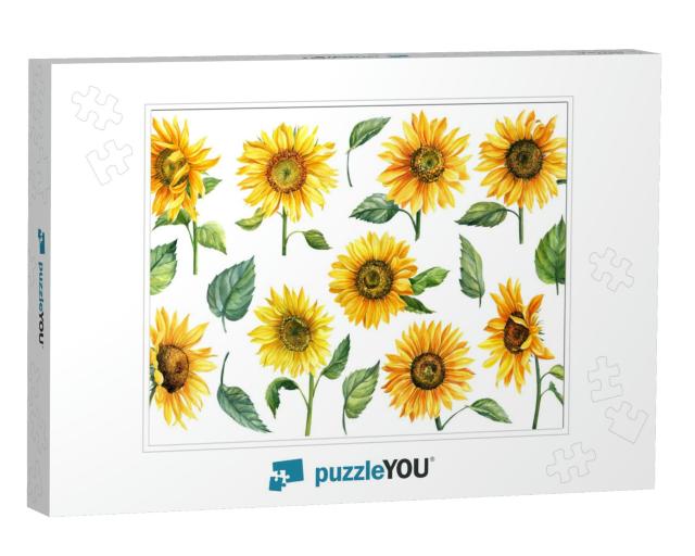 Sunflowers Isolated on White Background, Watercolor Botan... Jigsaw Puzzle