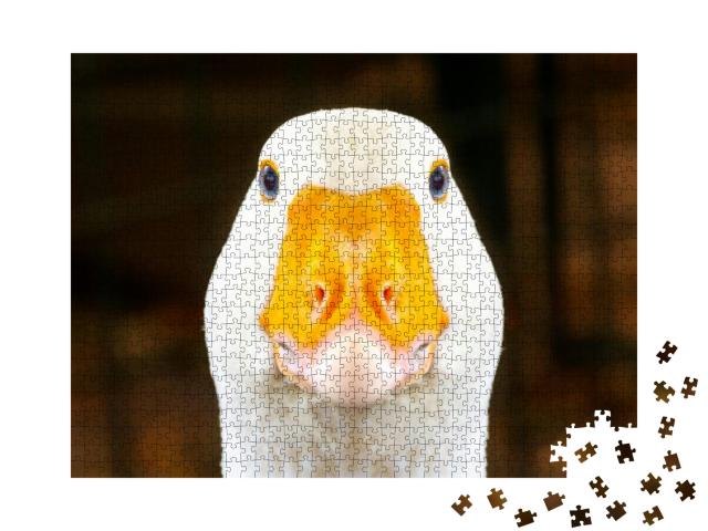 Portrait of a White Geese with an Orange Beak. Breeding P... Jigsaw Puzzle with 1000 pieces