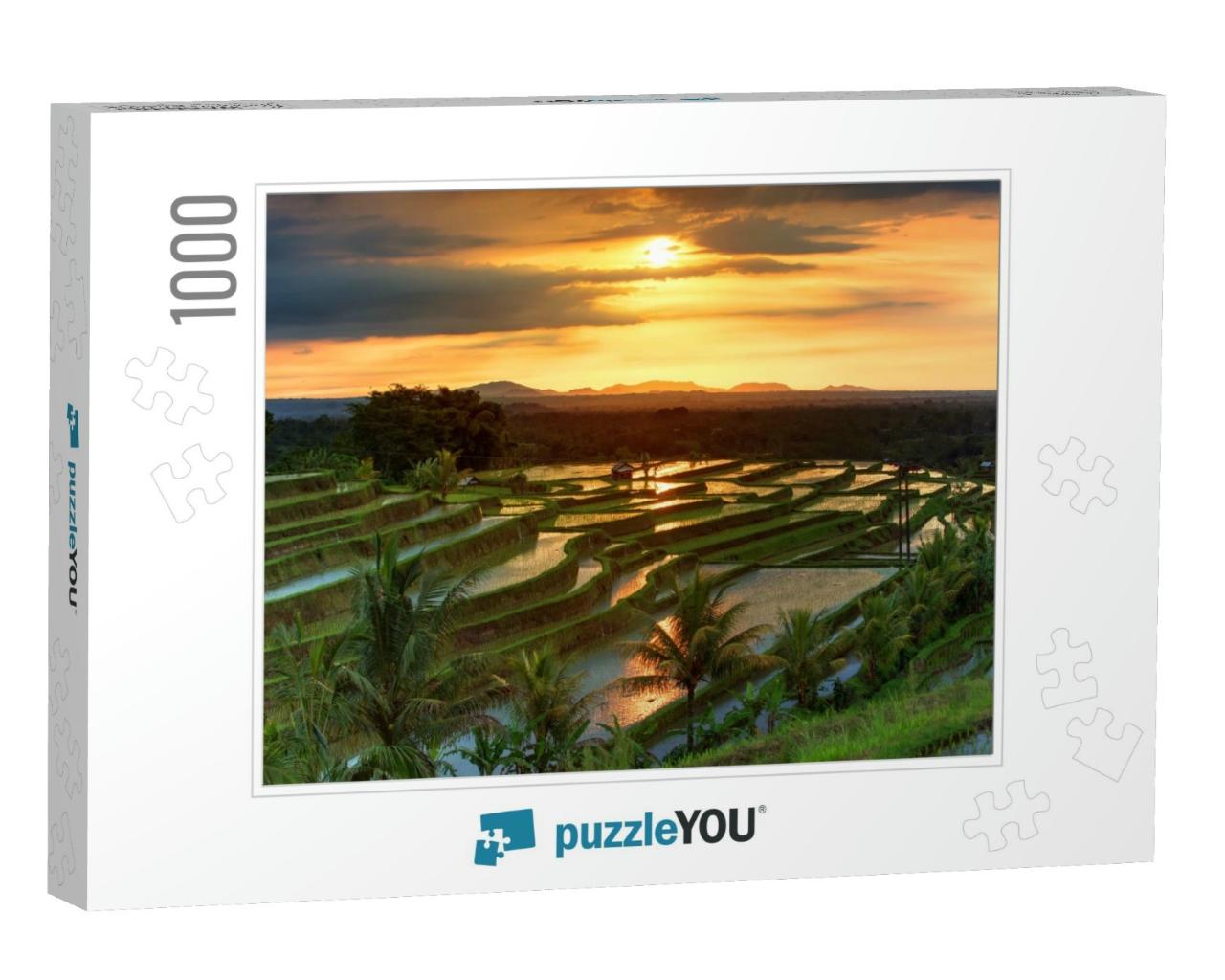 Famous Jatiluwih Rice Terraces on Bali During Sunrise, In... Jigsaw Puzzle with 1000 pieces