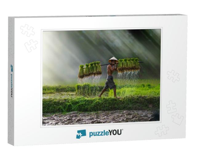 Vietnam Farmer Bearing Seedlings of Rice to Plant, Asian... Jigsaw Puzzle
