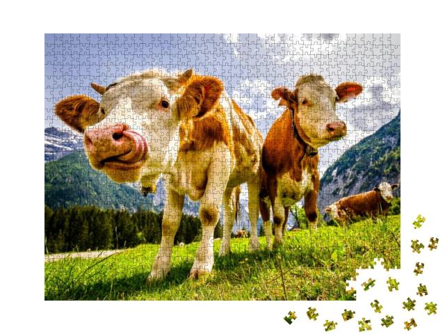 Nice Cows At the Eng Alm in Austria... Jigsaw Puzzle with 1000 pieces