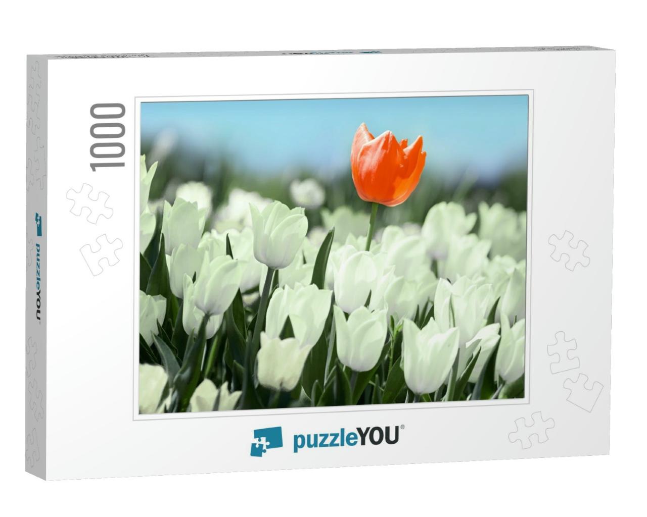 Red Tulip Flower Bloom on Background of Blurry White Tuli... Jigsaw Puzzle with 1000 pieces