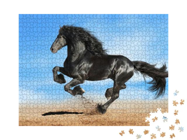 Running Gallop Black Friesian Horse... Jigsaw Puzzle with 1000 pieces