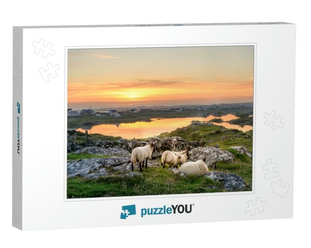 Ireland Sunset At a Lake with Sheep Near Clifden, Roundst... Jigsaw Puzzle