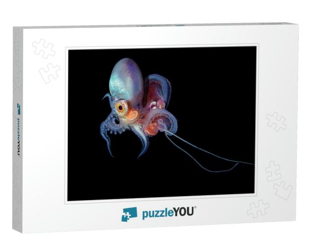 Blanket Octopus Blackwater Diving Underwater Photo... Jigsaw Puzzle