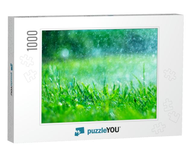 Grass with Rain Drops. Watering Lawn. Rain. Blurred Grass... Jigsaw Puzzle with 1000 pieces