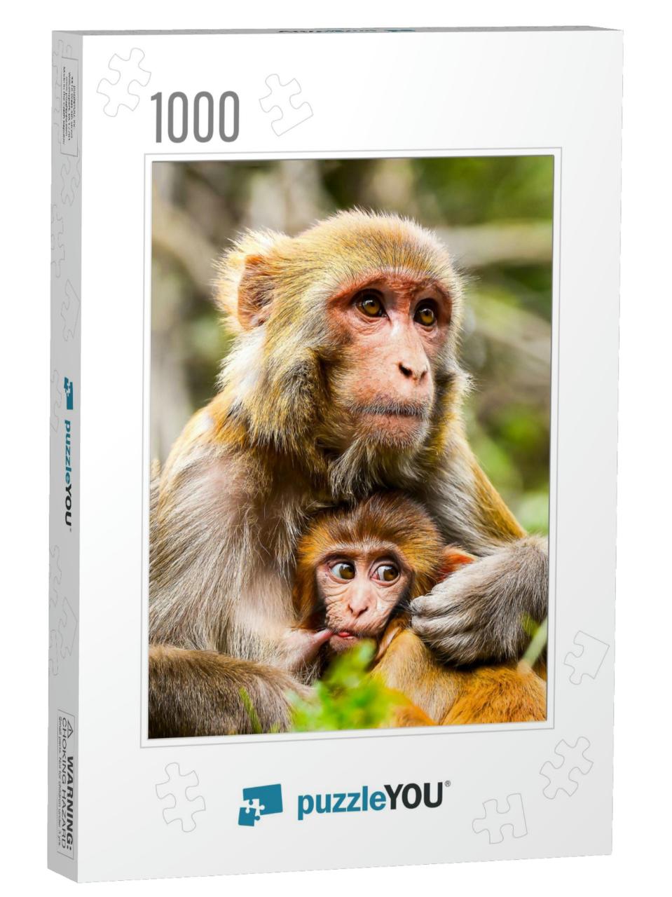 Monkey Mother with Baby Portrait... Jigsaw Puzzle with 1000 pieces
