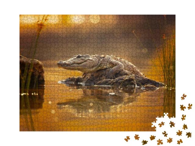 Mugger Crocodile Crocodylus Palustris, Also Called Marsh... Jigsaw Puzzle with 1000 pieces