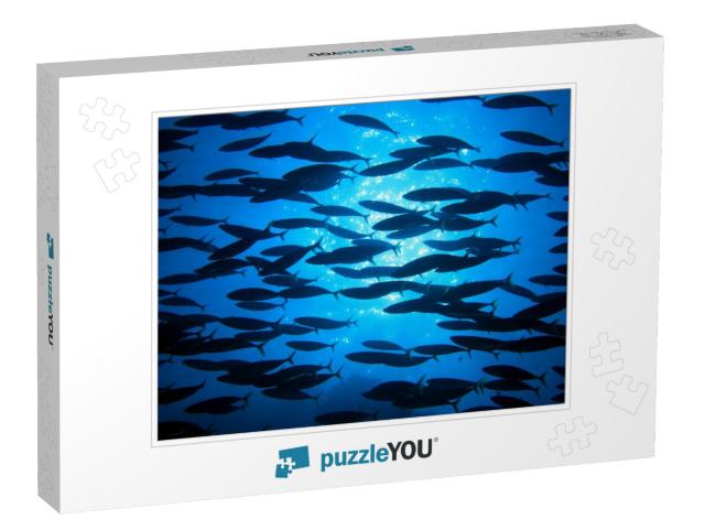 Shoal of Fish in the Blue Water of the Ocean... Jigsaw Puzzle