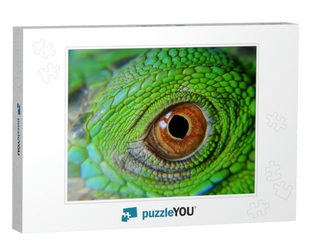 Chameleons Are a Special Designation for Various Types of... Jigsaw Puzzle