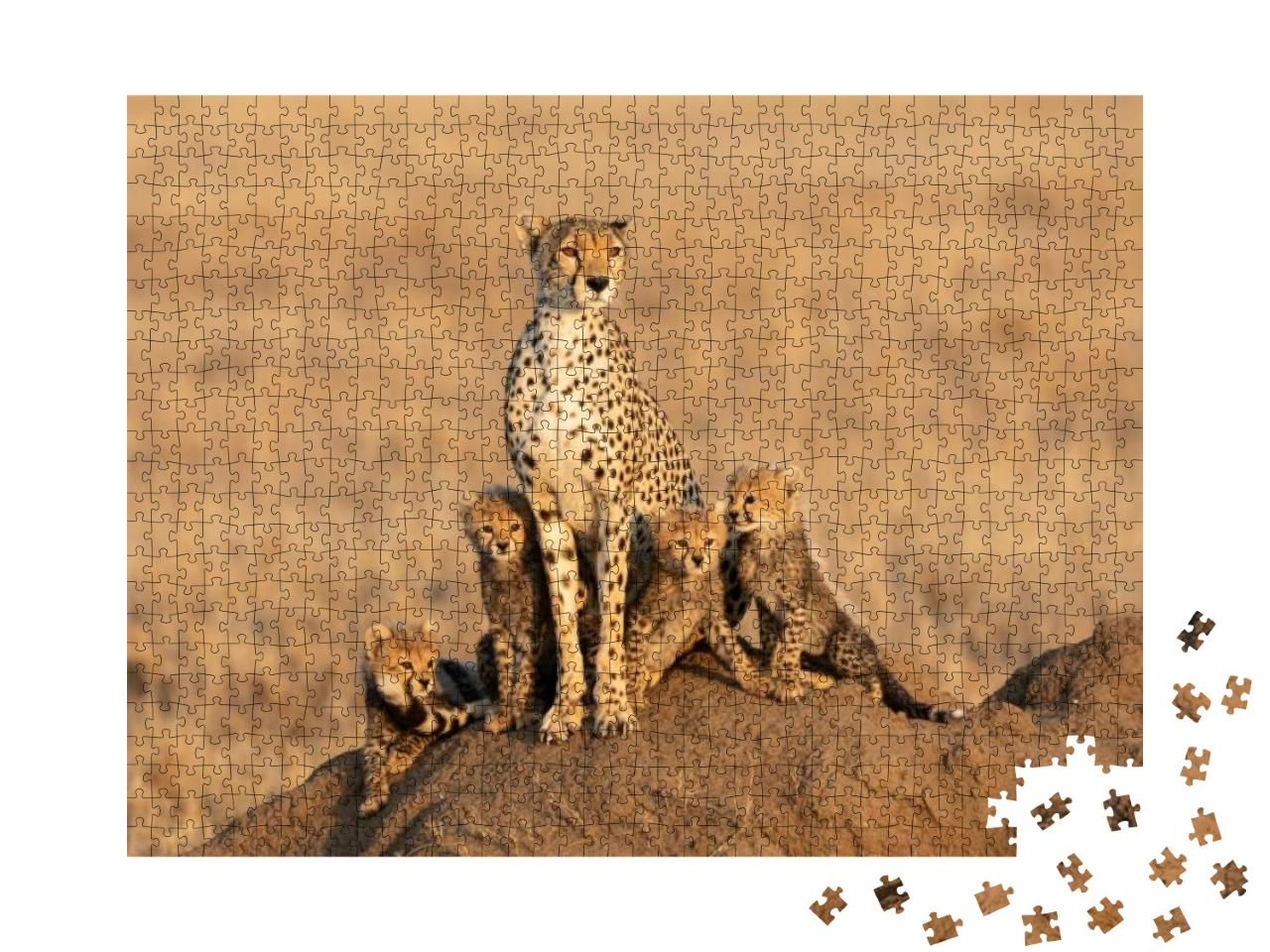 Female Cheetah & Her Four Tiny Cubs Sitting on a Large Te... Jigsaw Puzzle with 1000 pieces
