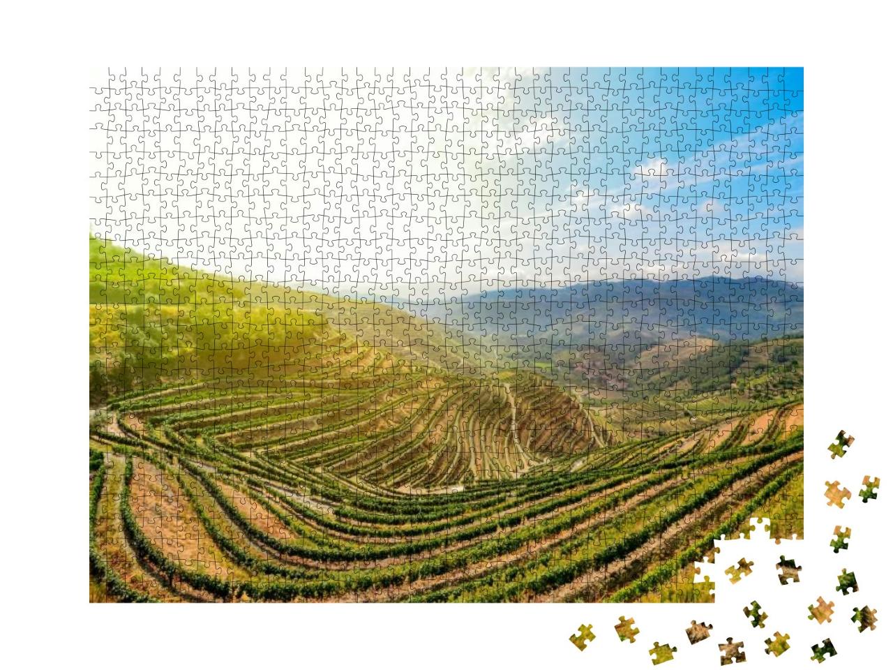 Douro Valley in Porto Wine Region Vineyards Near Duero Ri... Jigsaw Puzzle with 1000 pieces