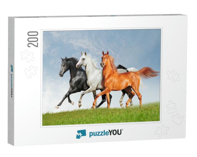 Three Arab Horse Runs Free... Jigsaw Puzzle with 200 pieces