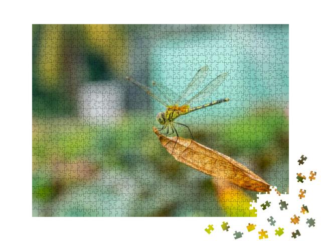 Detailed Marco View of One Long-Legged Marsh Glide... Jigsaw Puzzle with 1000 pieces