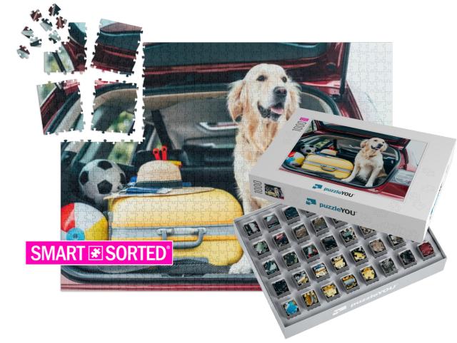 Cute Golden Retriever Dog Sitting in Car Trunk with Lugga... | SMART SORTED® | Jigsaw Puzzle with 1000 pieces