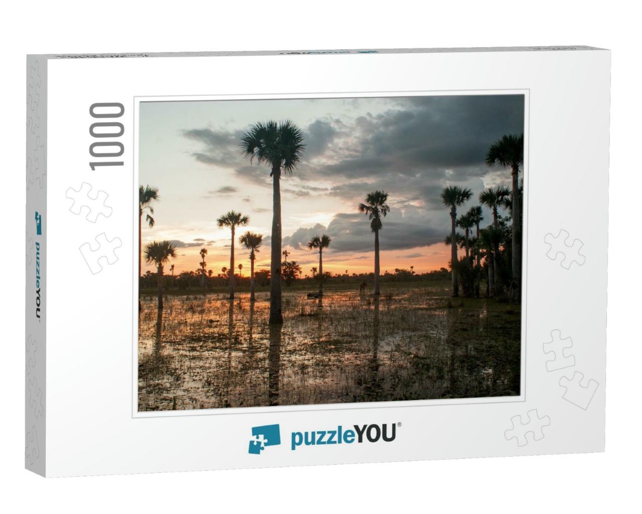 Sunset At Zapata Swamp, Cuba... Jigsaw Puzzle with 1000 pieces