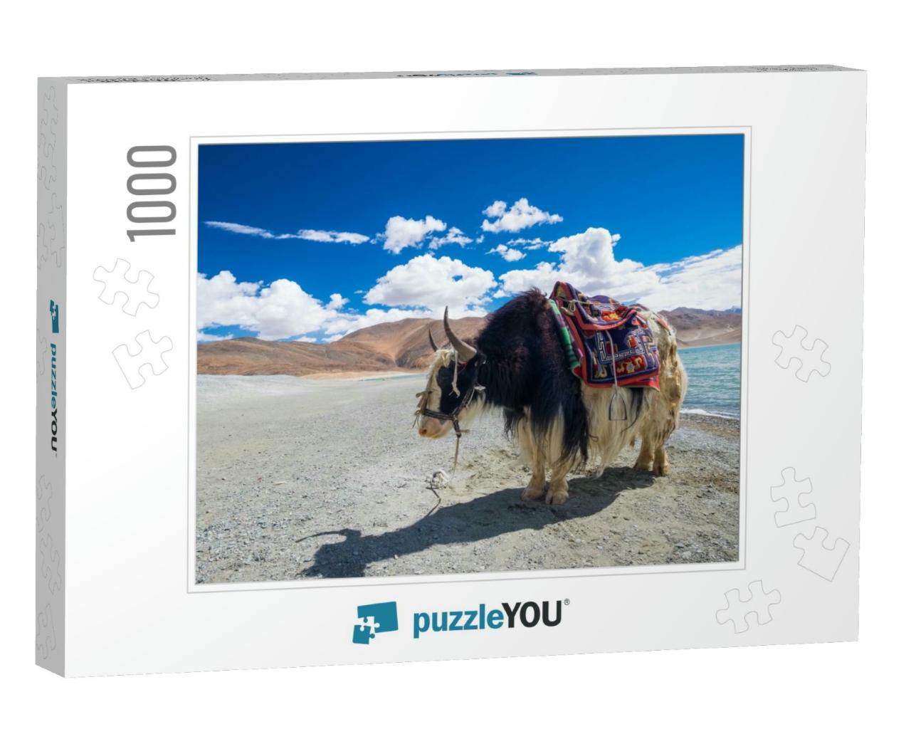 Yak At Pangong Lake in Ladakh, India... Jigsaw Puzzle with 1000 pieces
