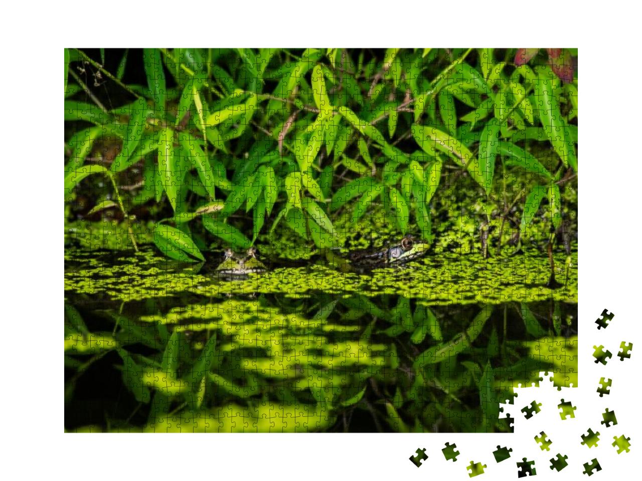 Two Frog Friends Jigsaw Puzzle with 1000 pieces