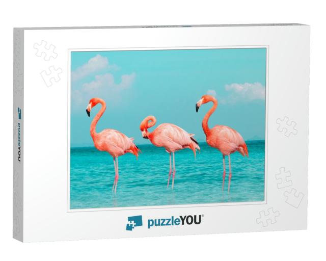 Vintage & Retro Collage Photo of Flamingos Standing in Cl... Jigsaw Puzzle