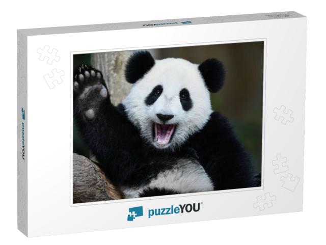 A Playful Happy Panda in China... Jigsaw Puzzle