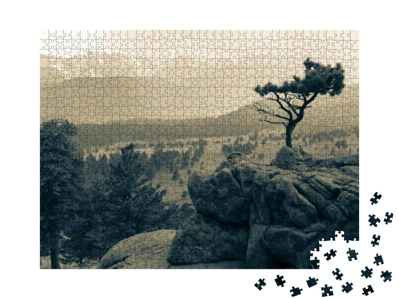 Rocky Mountain National Park... Jigsaw Puzzle with 1000 pieces