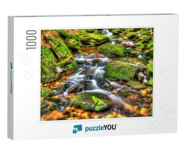 Bavarian Forest, Brook in the Forest, Germany... Jigsaw Puzzle with 1000 pieces