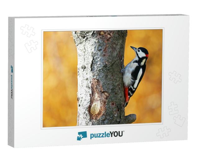 Great Spotted Woodpecker with Yellow Background... Jigsaw Puzzle