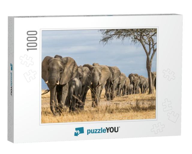 Herd of Elephants in Africa Walking Through the Grass in... Jigsaw Puzzle with 1000 pieces