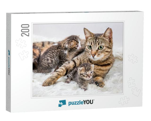 Mom Mother Cat & Baby Cat Kitten... Jigsaw Puzzle with 200 pieces