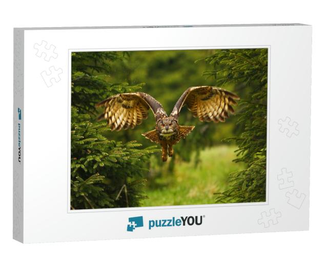 The Eurasian Eagle-Owl Flying in the Forest in the Mounta... Jigsaw Puzzle