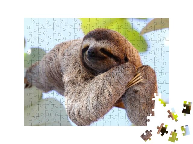 Happy Sloth Hanging on the Tree... Jigsaw Puzzle with 200 pieces