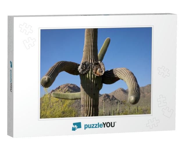Saguaro National Park in the Southwest... Jigsaw Puzzle