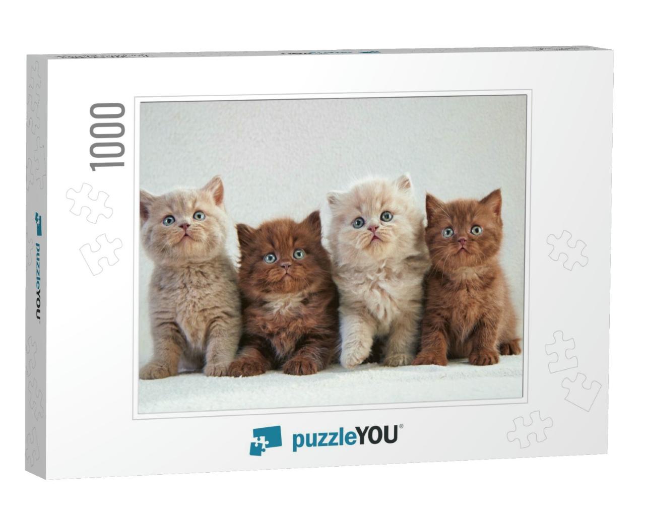 Four Various British Kittens Sitting on Beige Plaid... Jigsaw Puzzle with 1000 pieces