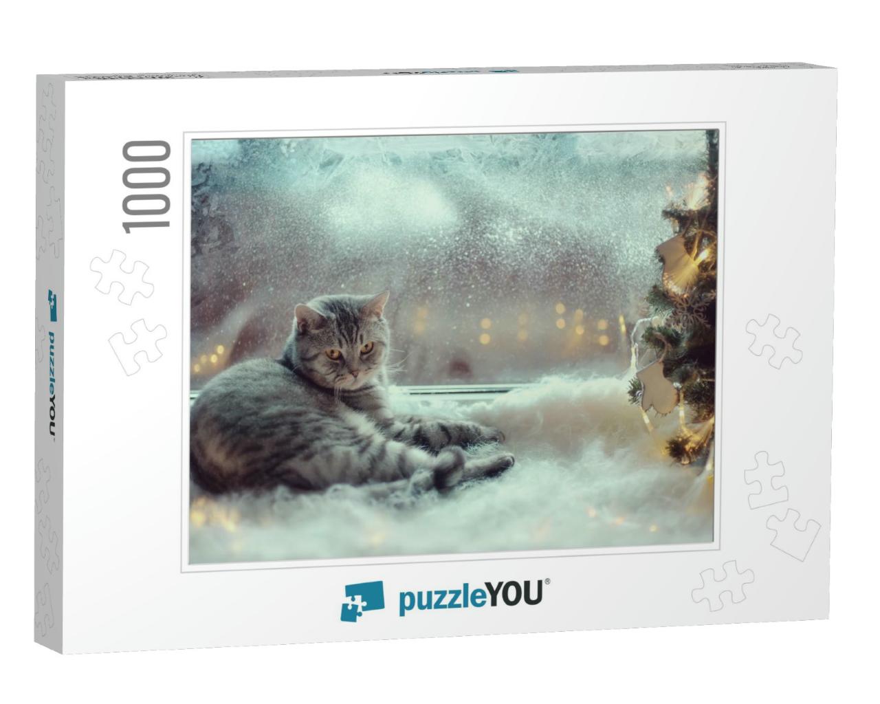 Cat in the Winter Window... Jigsaw Puzzle with 1000 pieces