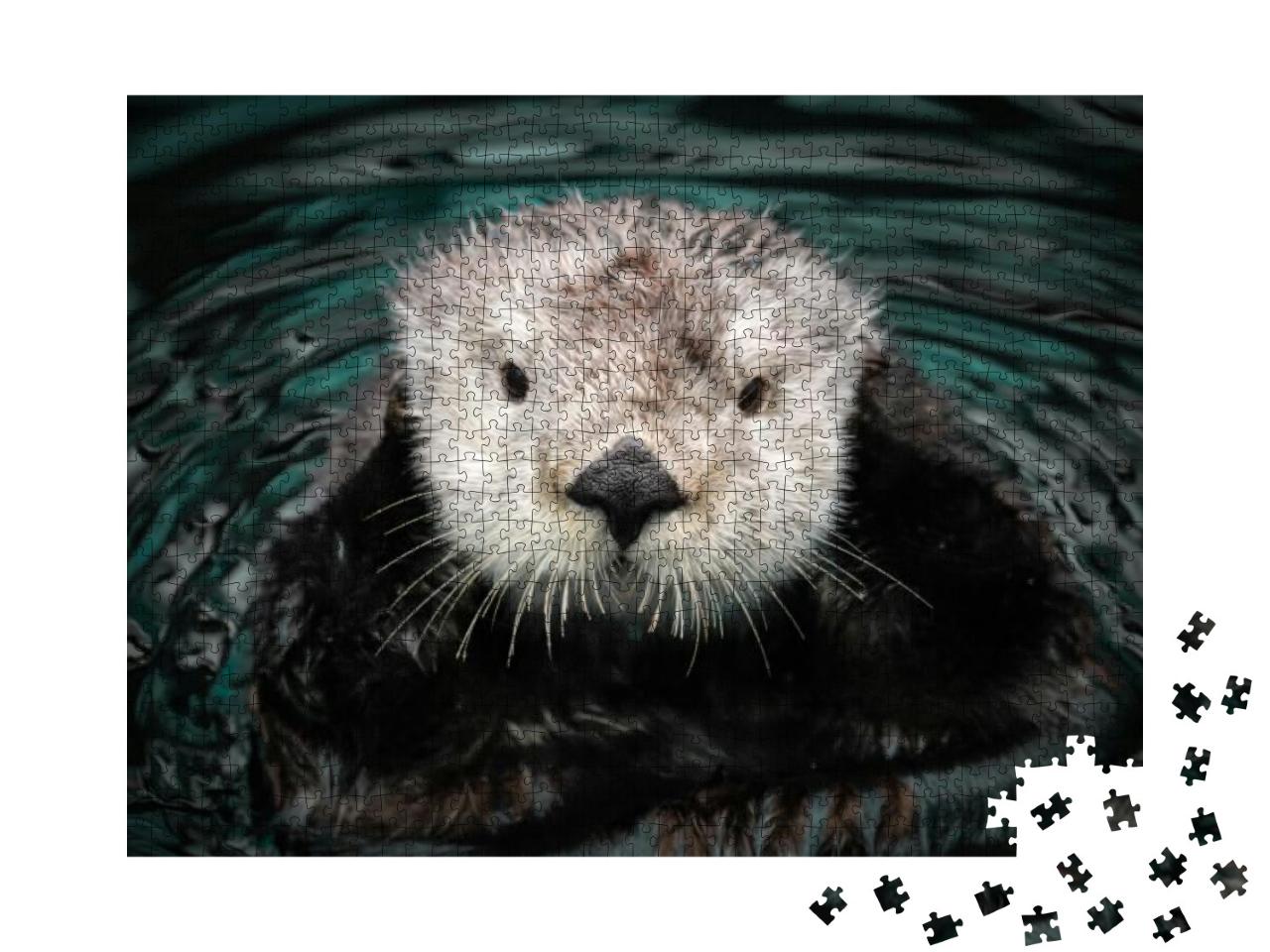 Sea Otter Posing in the Water... Jigsaw Puzzle with 1000 pieces