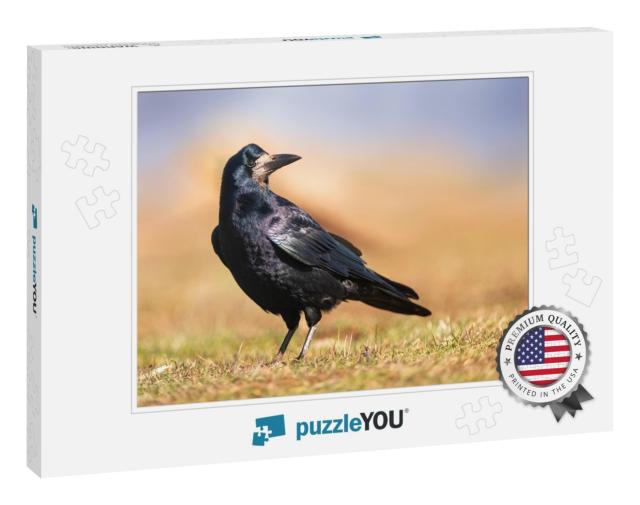 Portrait of Eurasian Rook Corvus Frugilegus. Rook on Eart... Jigsaw Puzzle