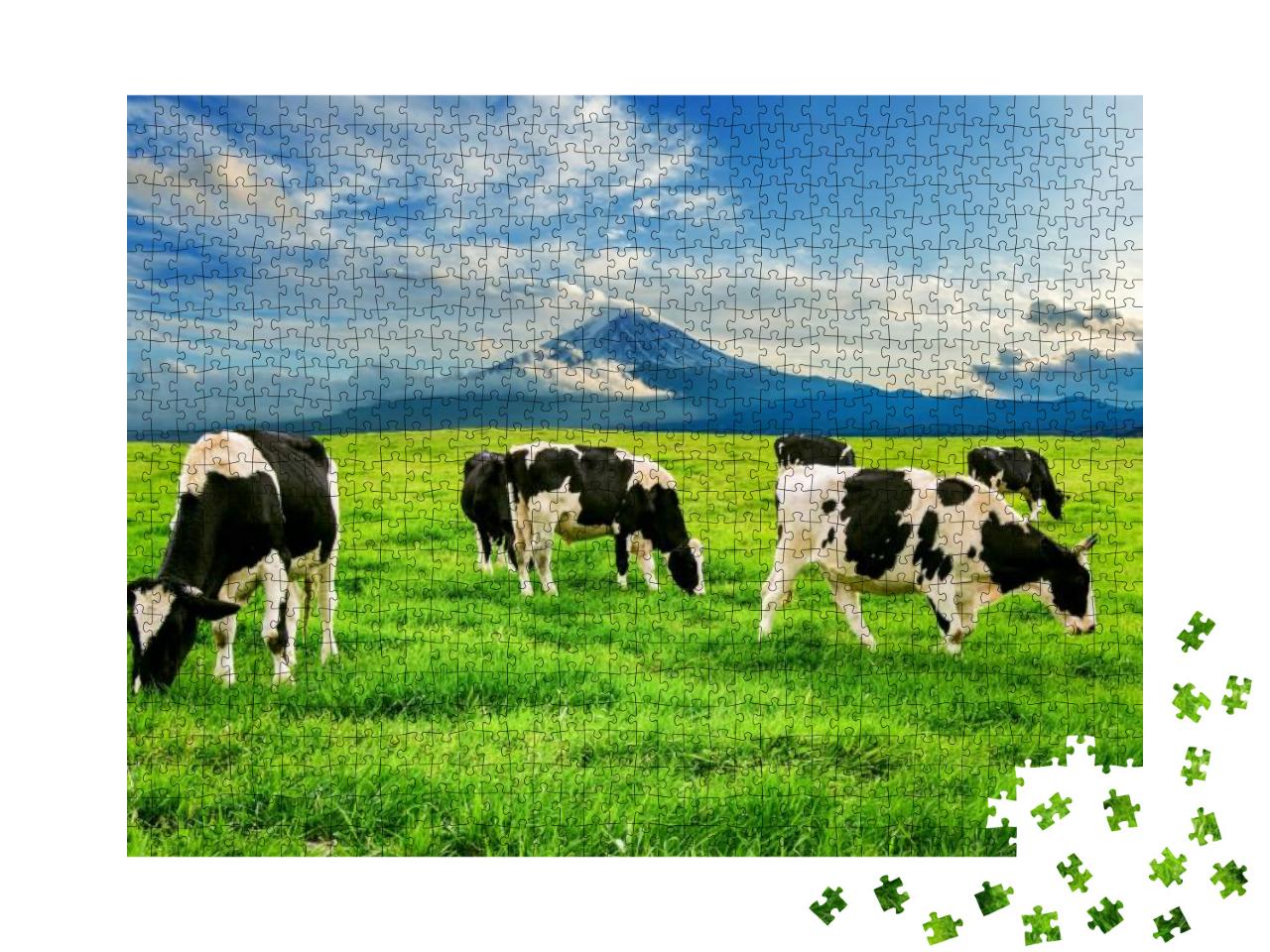 Cows Eating Lush Grass on the Green Field in Front of Fuj... Jigsaw Puzzle with 1000 pieces