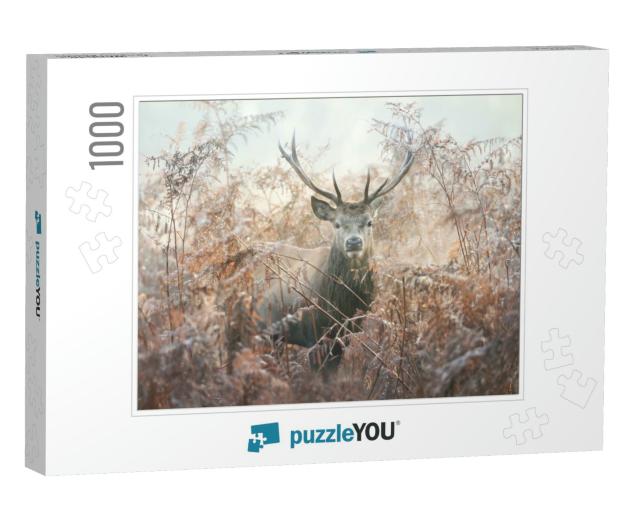 Portrait of a Red Deer Stag in Bracken on a Misty Autumn... Jigsaw Puzzle with 1000 pieces