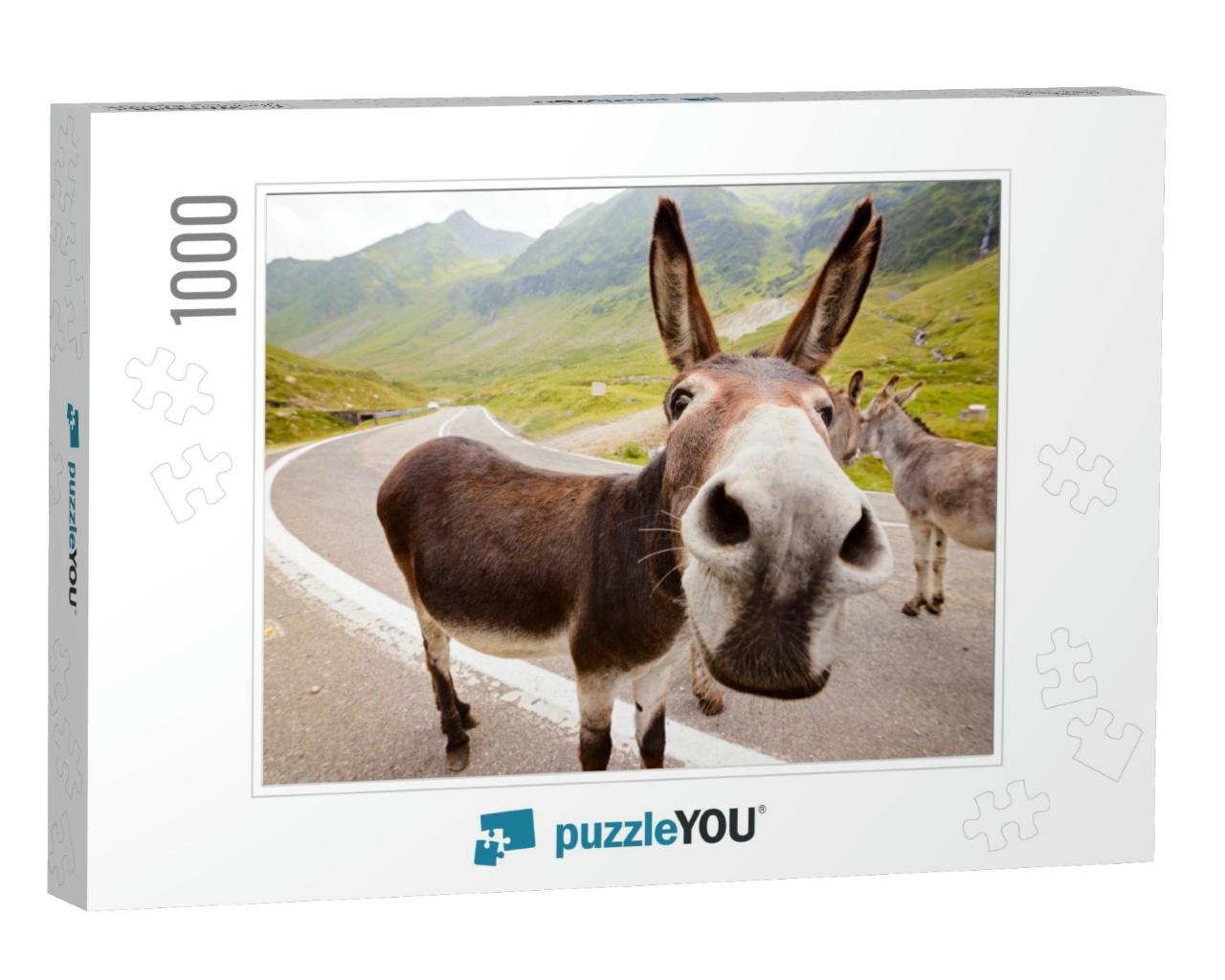 Funny Donkey on Transfagarasan Road in Romanian Mountains... Jigsaw Puzzle with 1000 pieces