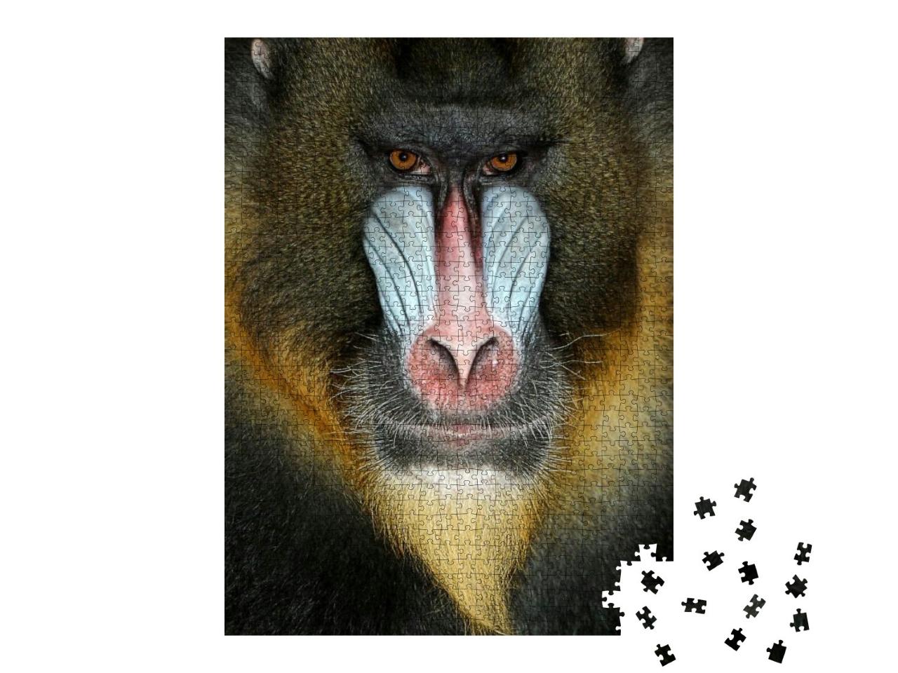 Close Up Portrait of Baboon Monkey... Jigsaw Puzzle with 1000 pieces