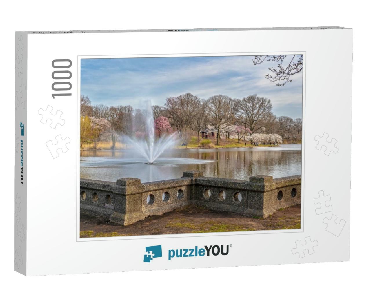 The Fountain & Cherry Blossom Trees of Branch Brook Park... Jigsaw Puzzle with 1000 pieces