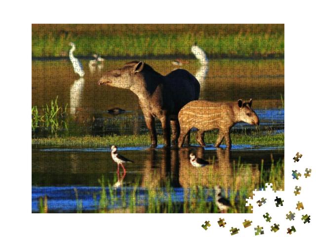 Tapir Mother with Baby... Jigsaw Puzzle with 1000 pieces