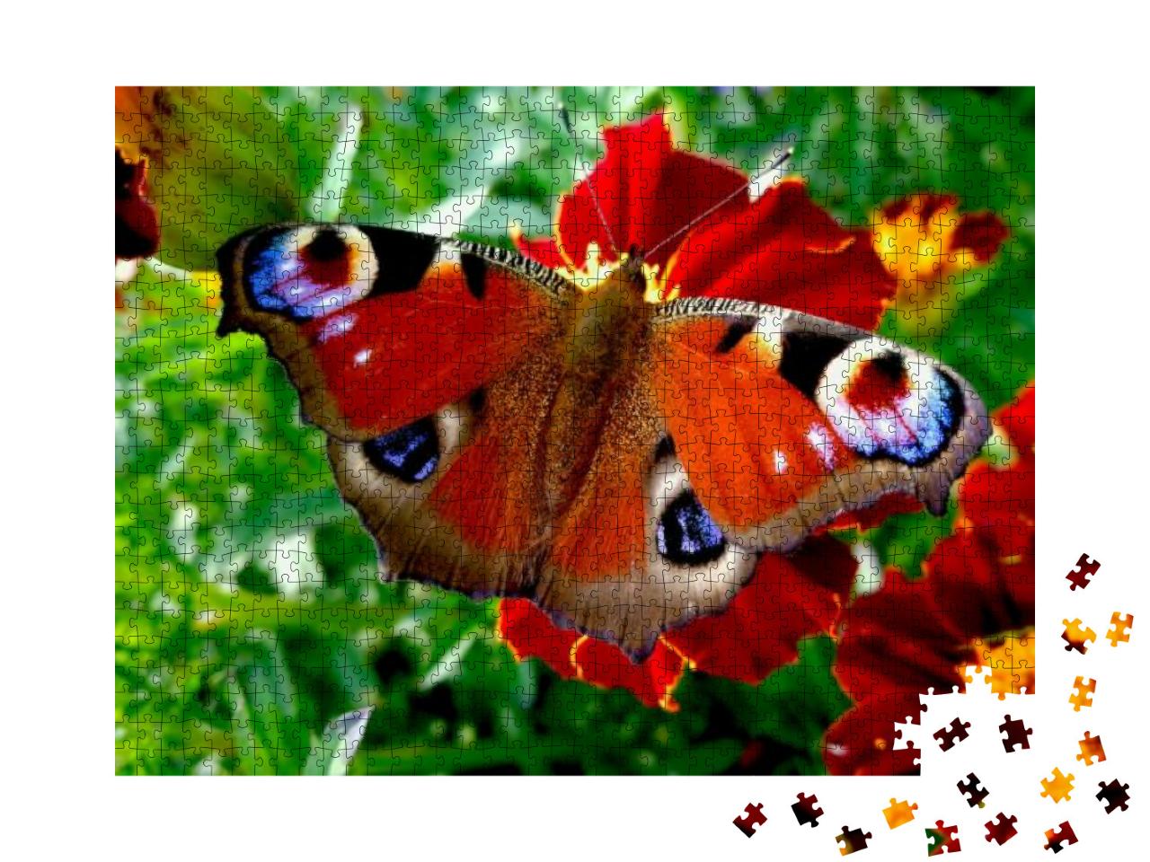 The Peacock Butterfly on the Flower. Colorful Butterfly... Jigsaw Puzzle with 1000 pieces