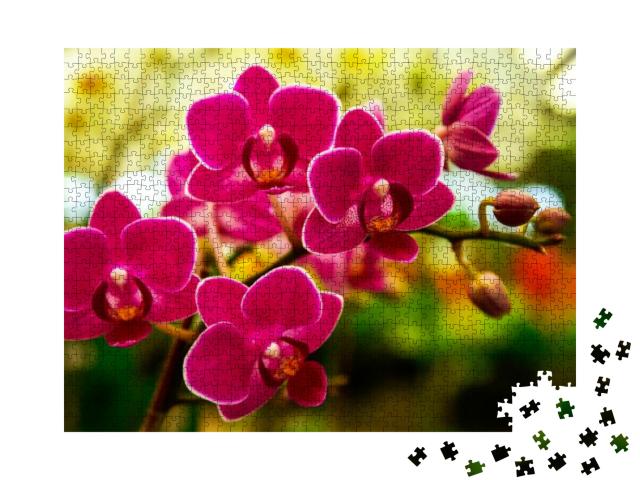 Pink Phalaenopsis or Moth Dendrobium Orchid Flower in Win... Jigsaw Puzzle with 1000 pieces